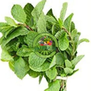 Mint Bunch (Podina)