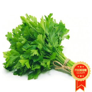 Coriander Bunch (Hara Dhanya)