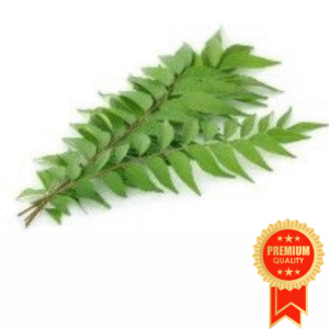 Curry Leaves Bunch (Curry Patta)