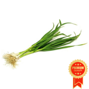 Green Garlic (Hara Lehsan) - 250gm