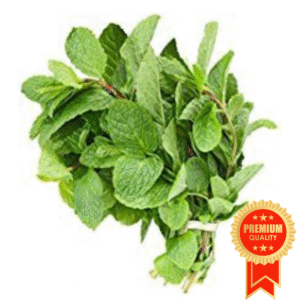 Mint Bunch (Podina)