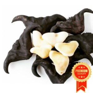Water Chestnut (Singhara) - 250gm