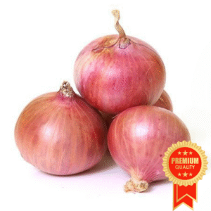 Onion 1-Kg (Pyaaz)